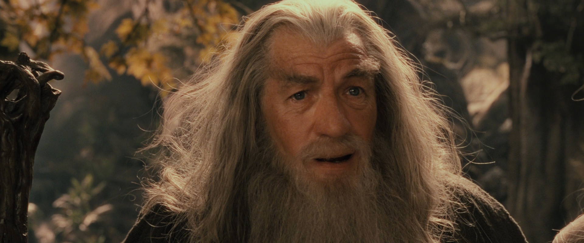 The Lord of the Rings: The Fellowship of the Ring (2001) HD screenshot 12377