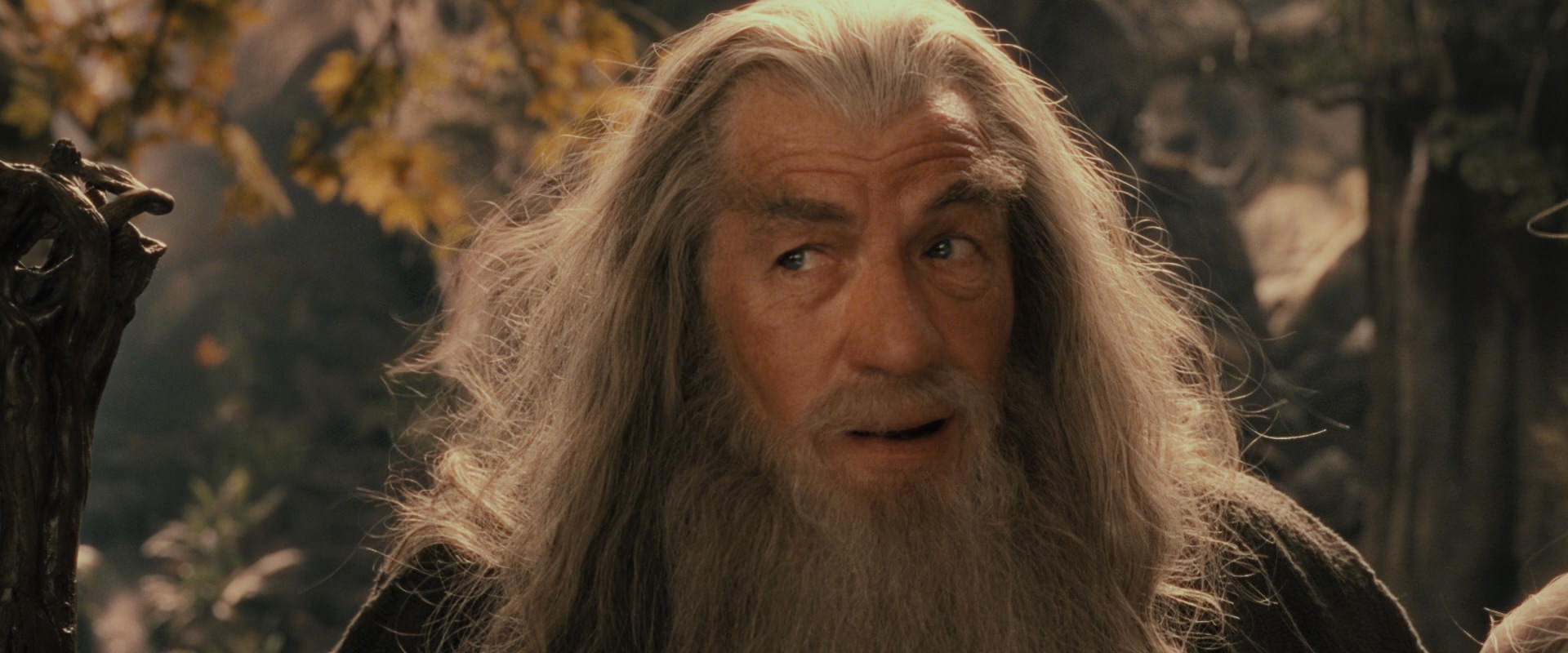 The Lord of the Rings: The Fellowship of the Ring (2001) screencap 12378