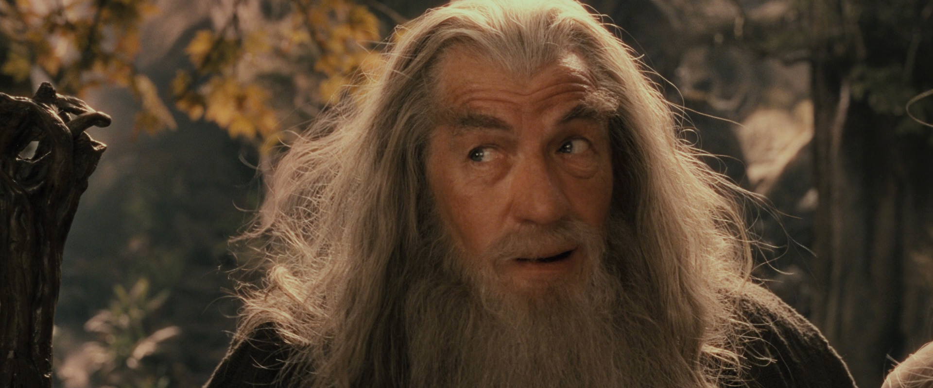 The Lord of the Rings: The Fellowship of the Ring (2001) movie still 12379