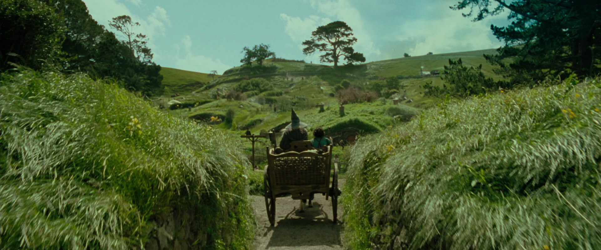 The Lord of the Rings: The Fellowship of the Ring (2001) screencap 1239