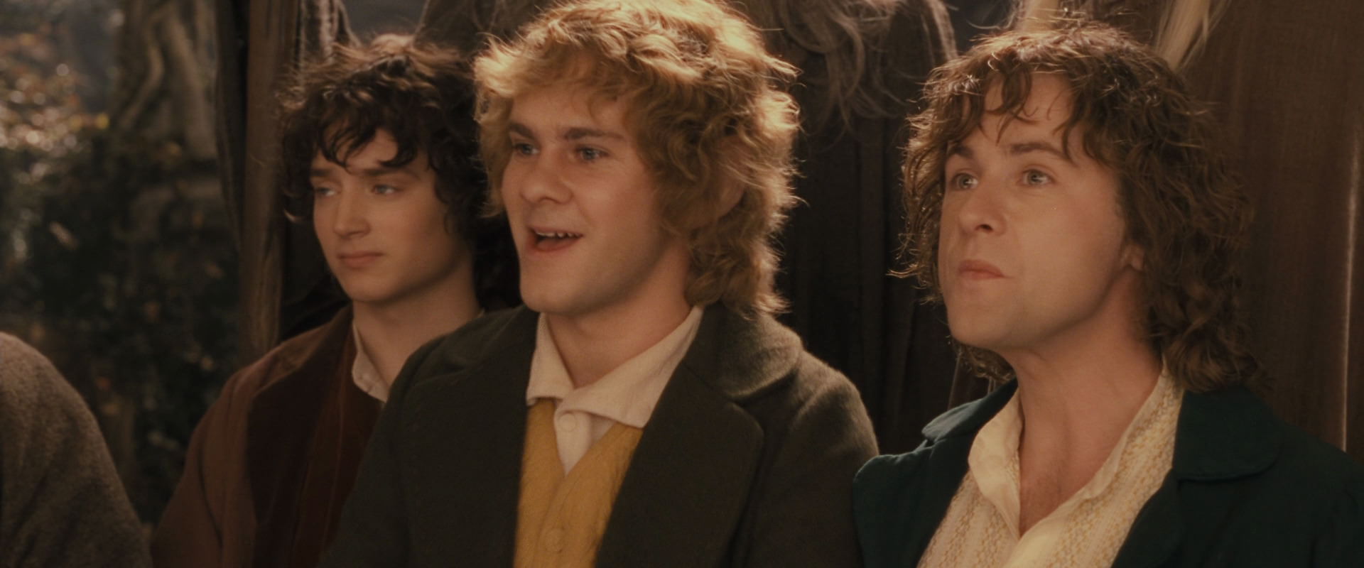 The Lord of the Rings: The Fellowship of the Ring (2001) screencap 12411