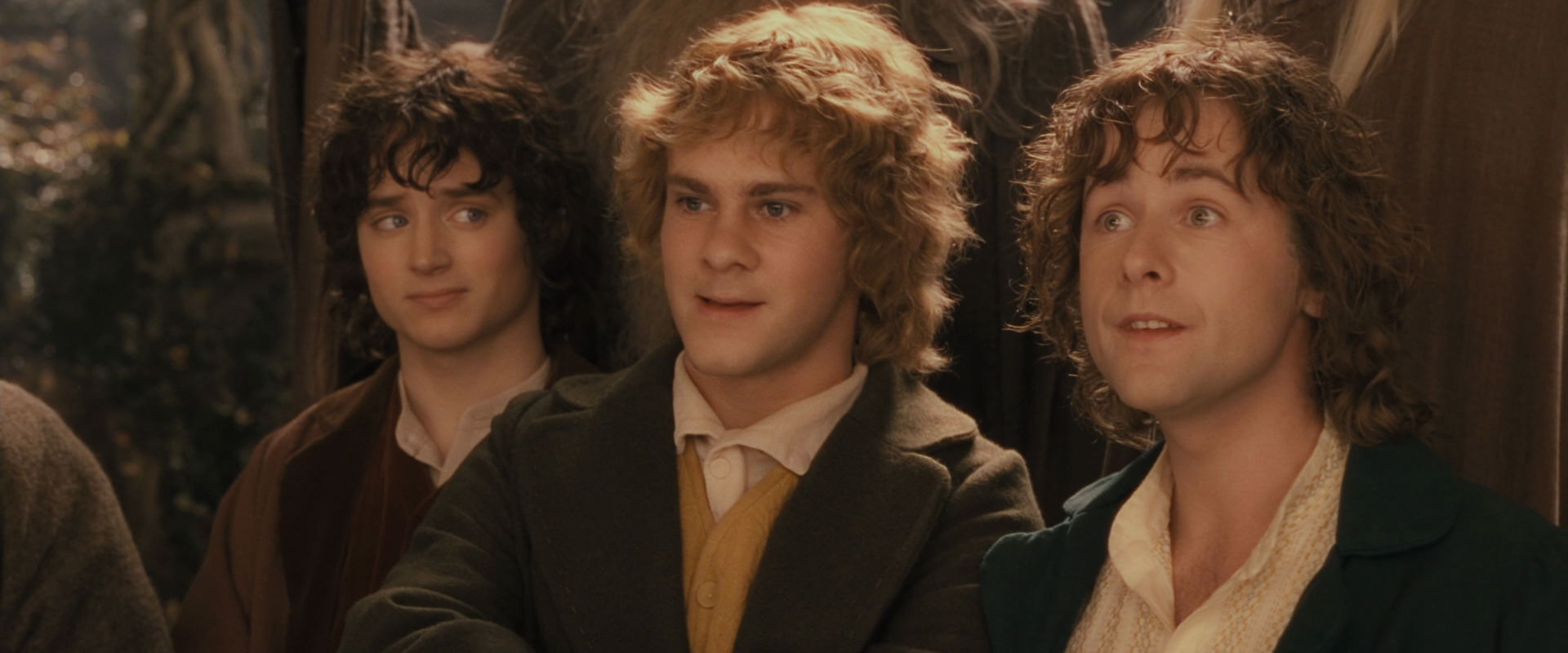 The Lord of the Rings: The Fellowship of the Ring (2001) screencap 12414