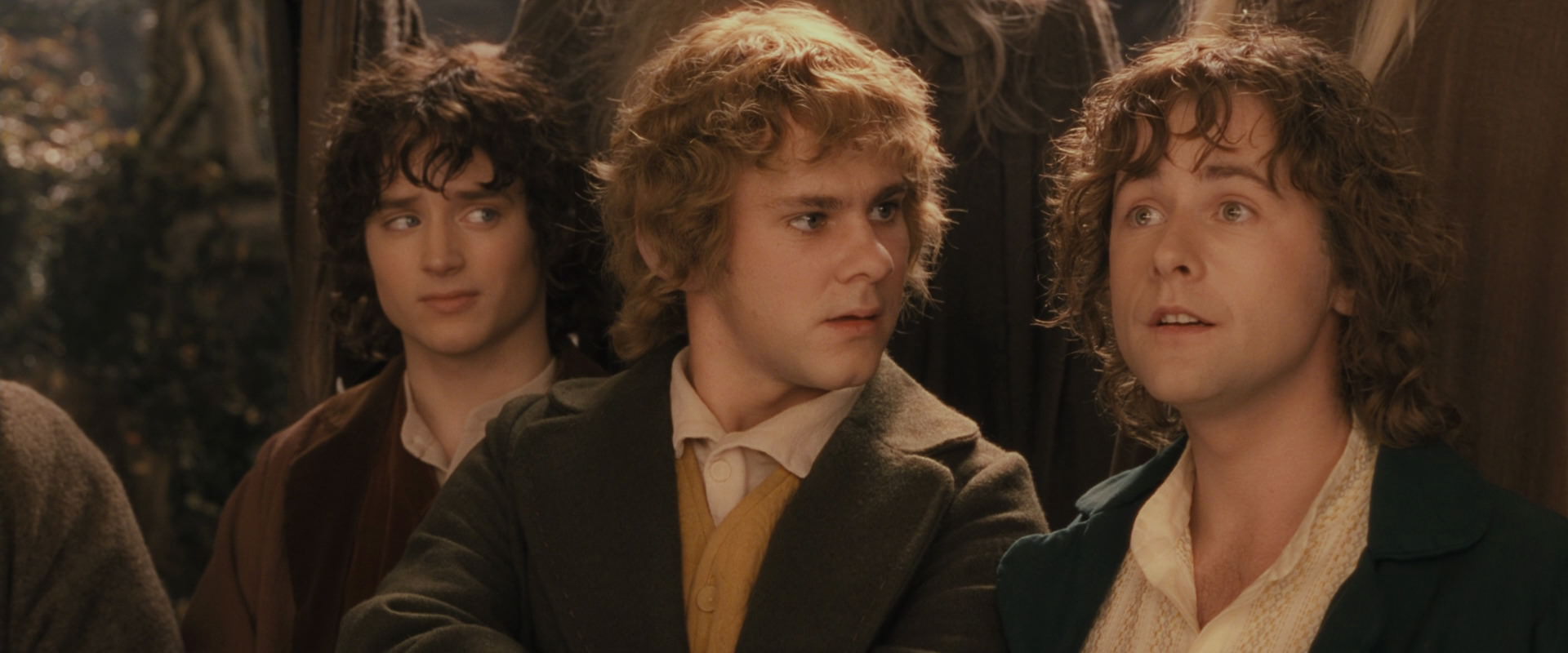 The Lord of the Rings: The Fellowship of the Ring (2001) HD screenshot 12416