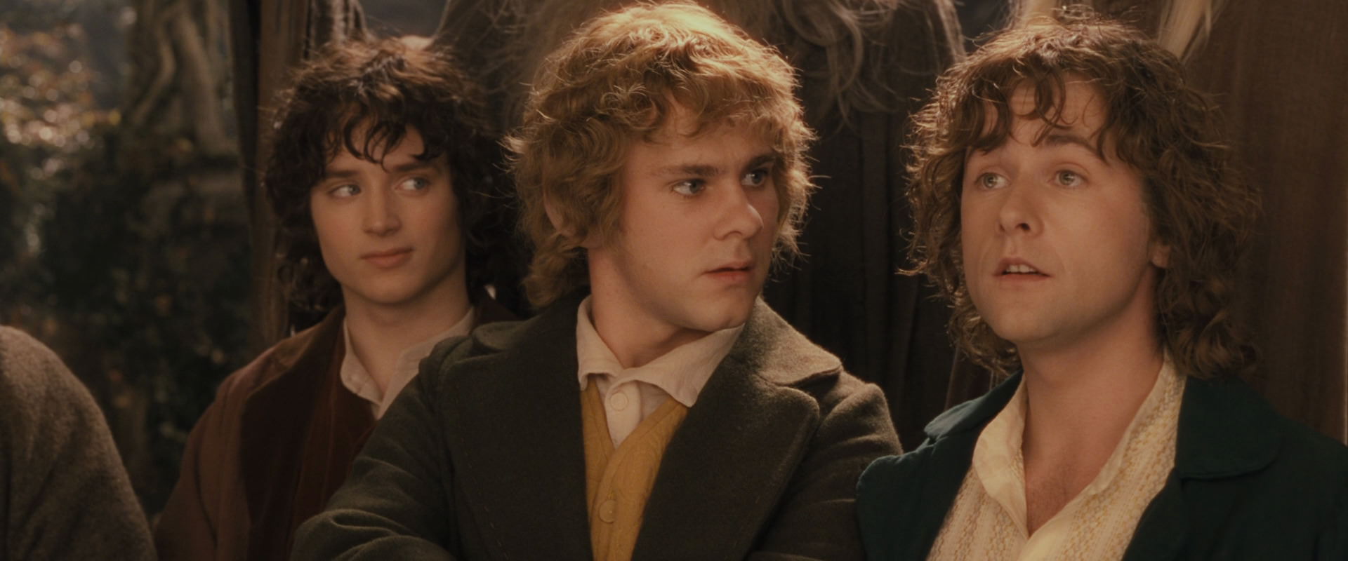 The Lord of the Rings: The Fellowship of the Ring (2001) screencap 12417