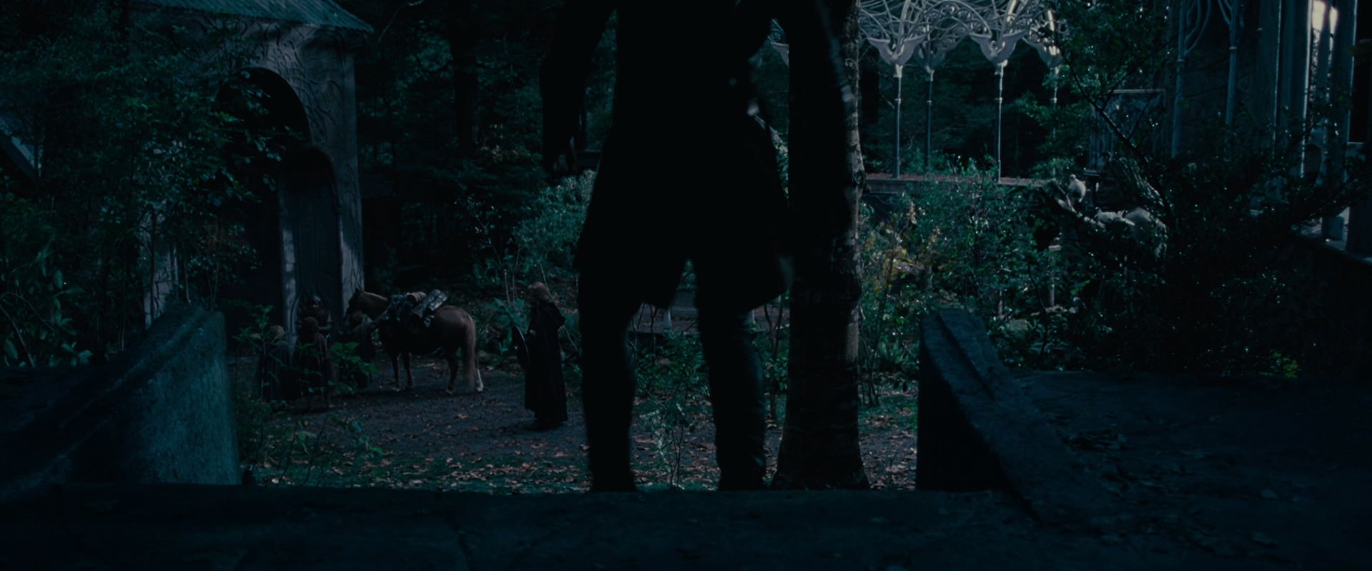 The Lord of the Rings: The Fellowship of the Ring (2001) screencap 12435