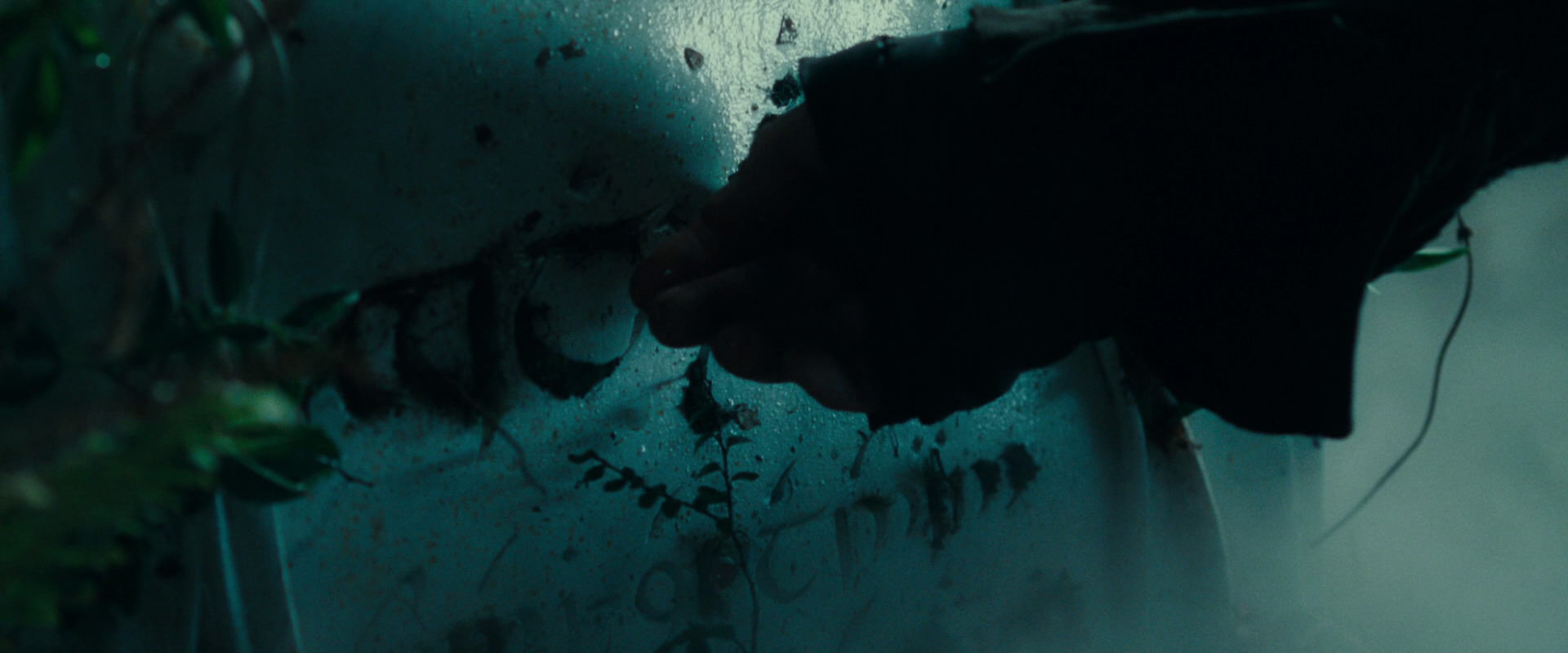 The Lord of the Rings: The Fellowship of the Ring (2001) screencap 12450