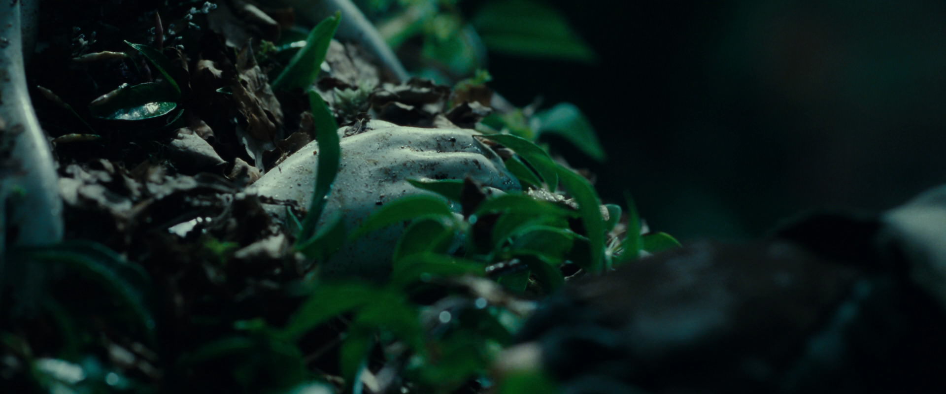 The Lord of the Rings: The Fellowship of the Ring (2001) movie still 12463