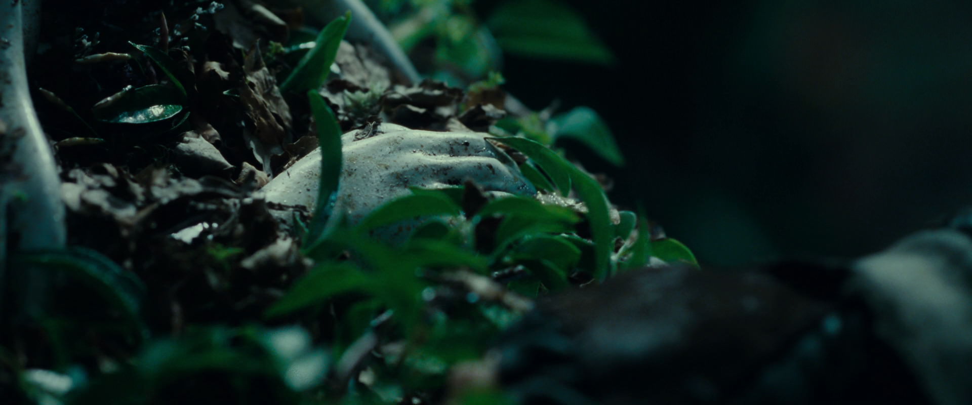 The Lord of the Rings: The Fellowship of the Ring (2001) HD screenshot 12464