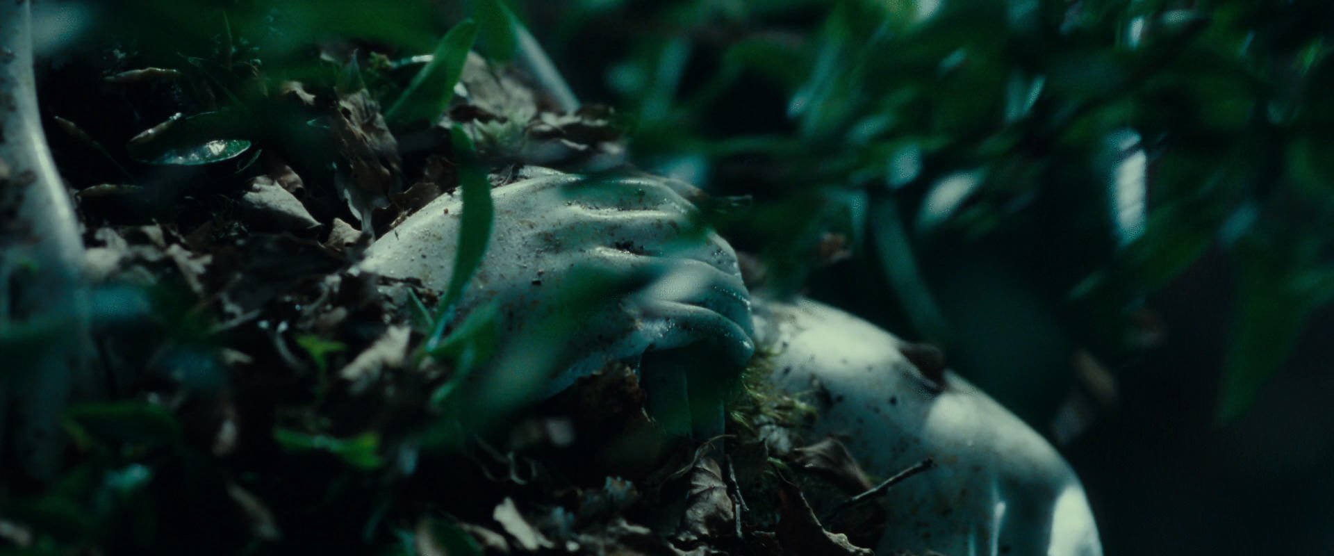 The Lord of the Rings: The Fellowship of the Ring (2001) movie still 12466
