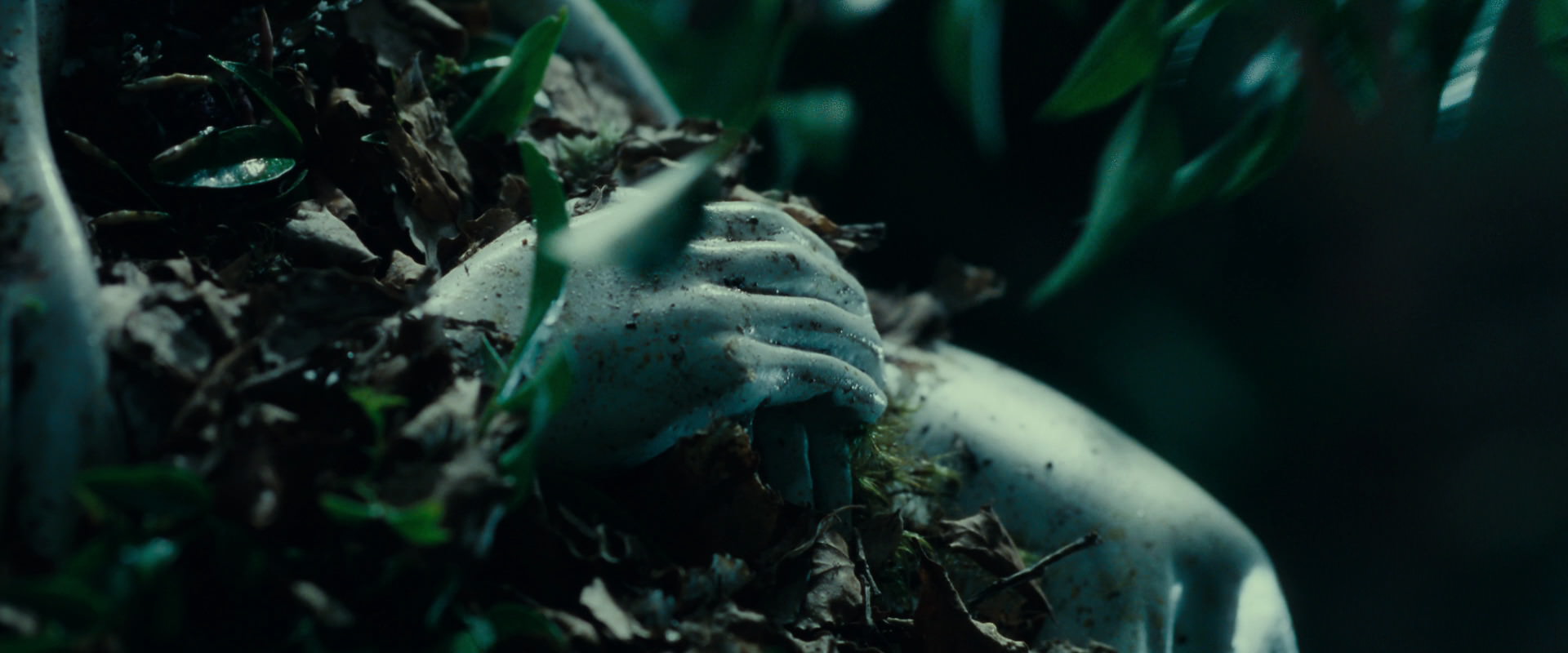 The Lord of the Rings: The Fellowship of the Ring (2001) HD screenshot 12467