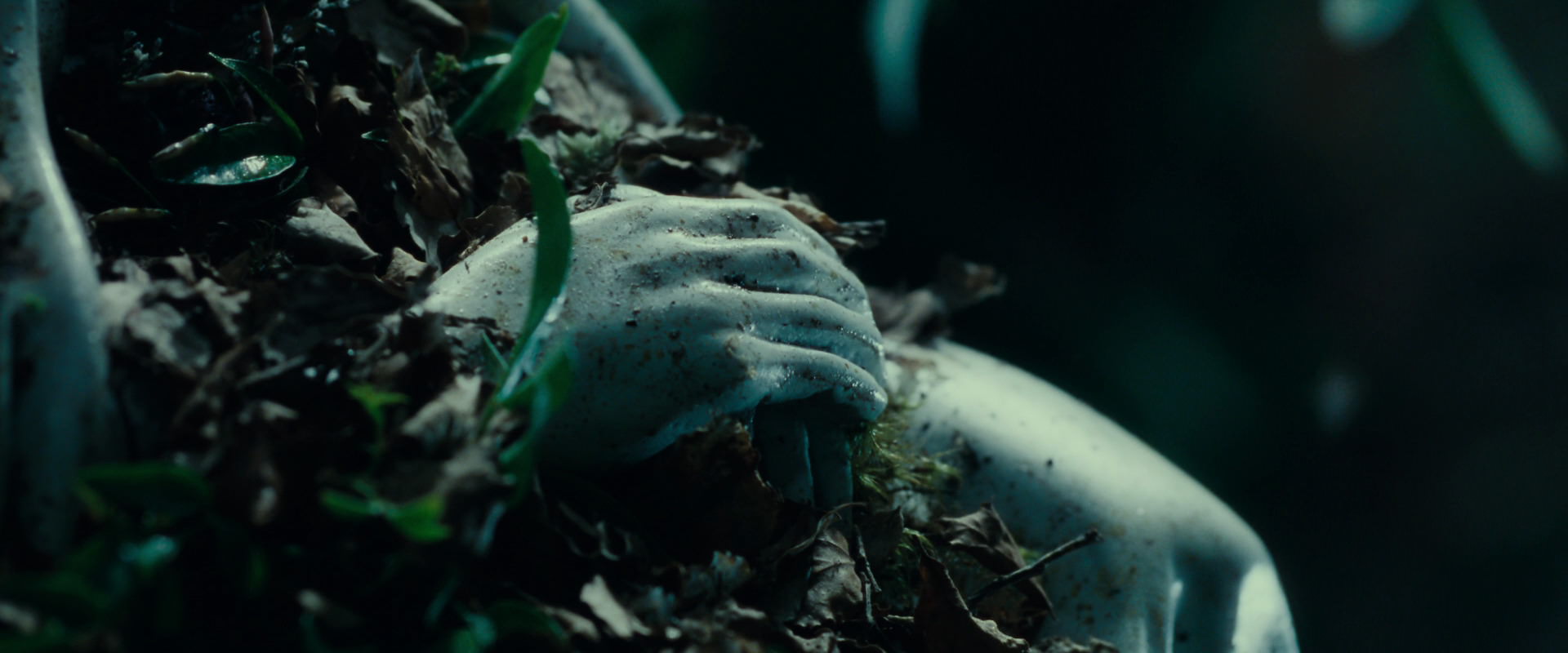 The Lord of the Rings: The Fellowship of the Ring (2001) screencap 12468