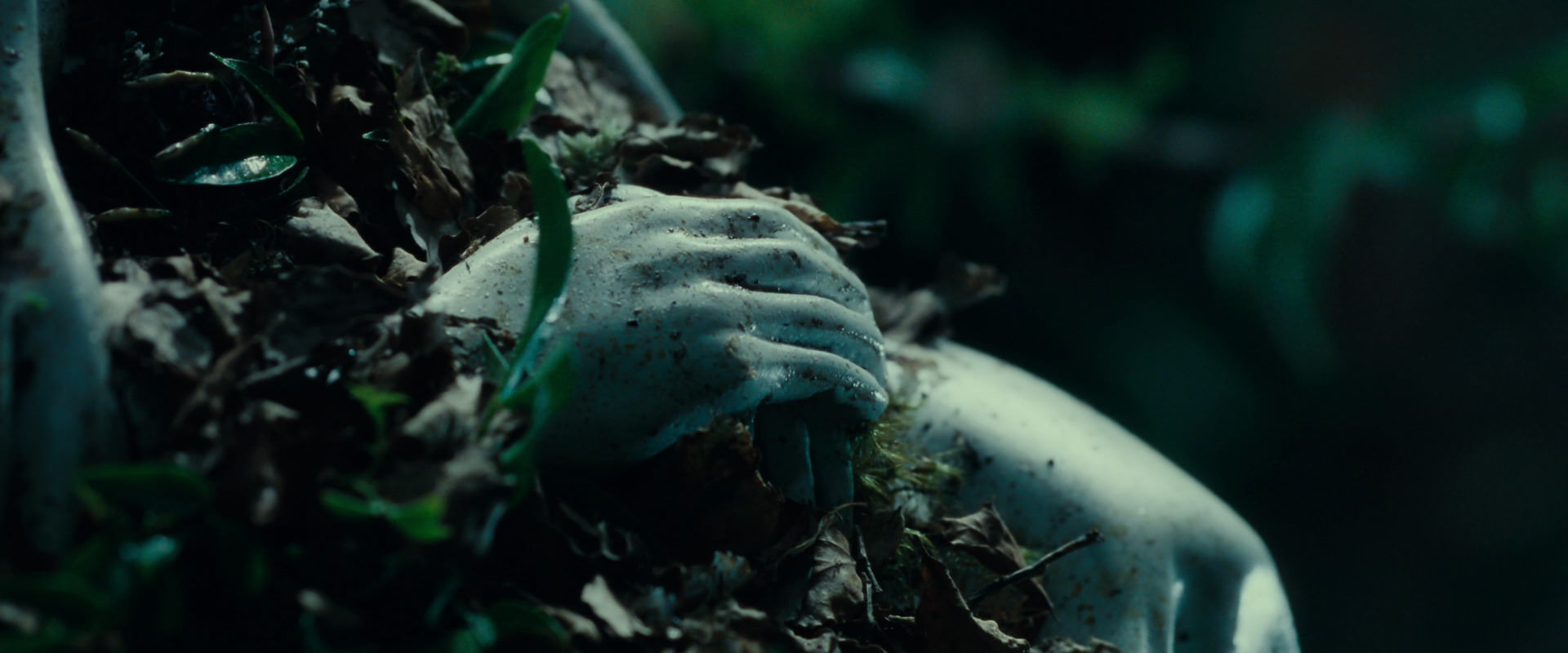The Lord of the Rings: The Fellowship of the Ring (2001) movie still 12469