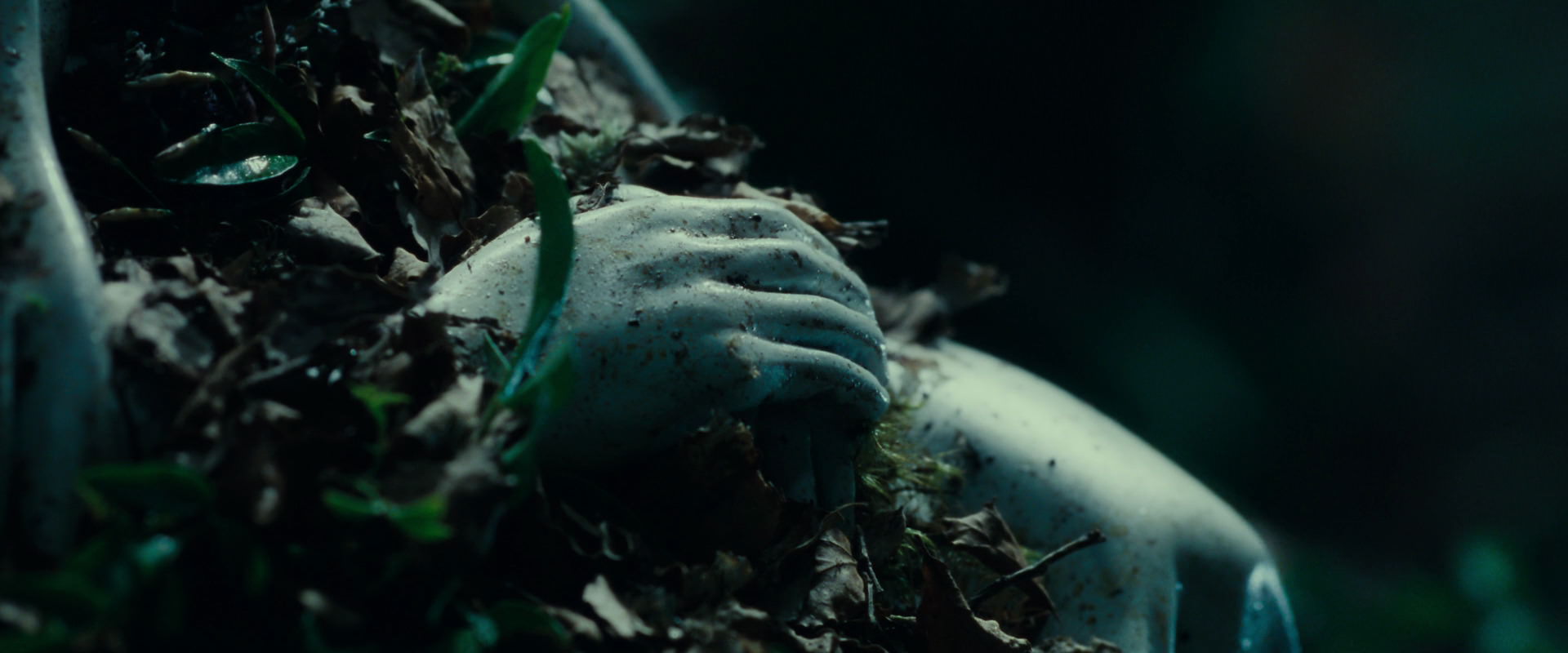 The Lord of the Rings: The Fellowship of the Ring (2001) HD screenshot 12470