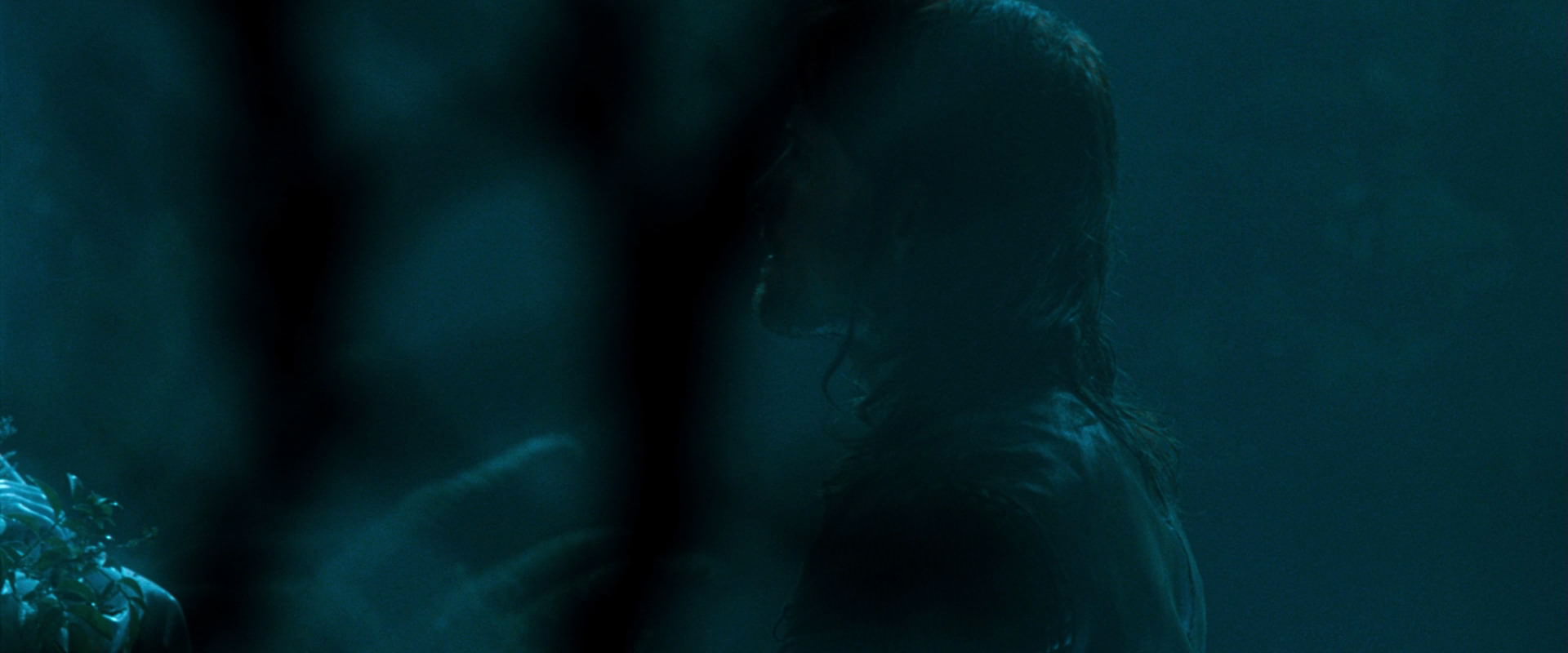 The Lord of the Rings: The Fellowship of the Ring (2001) screencap 12474