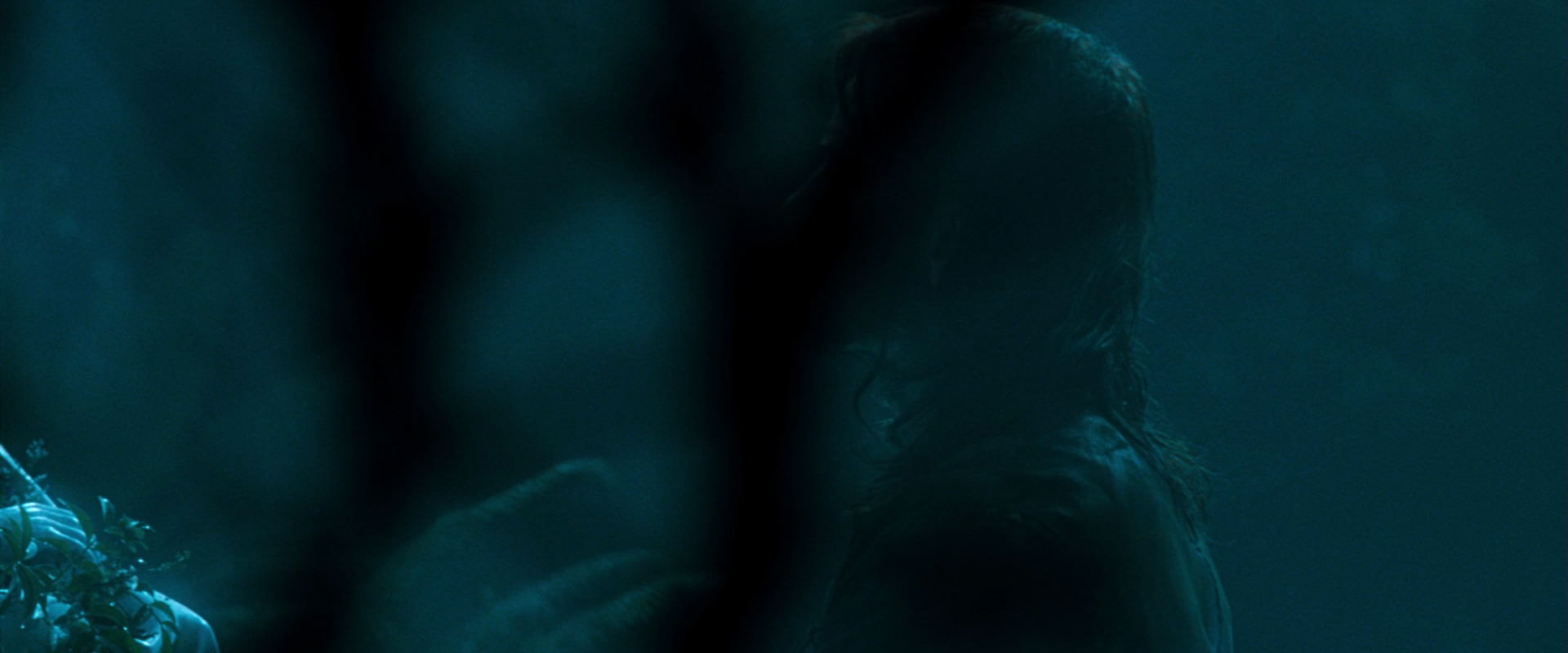 The Lord of the Rings: The Fellowship of the Ring (2001) movie still 12475