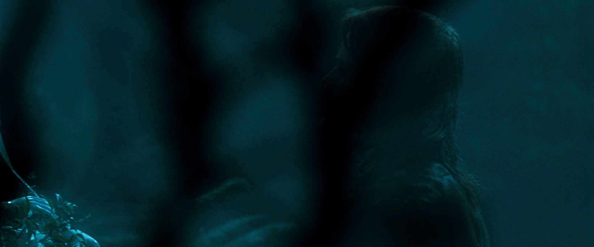 The Lord of the Rings: The Fellowship of the Ring (2001) HD screenshot 12476
