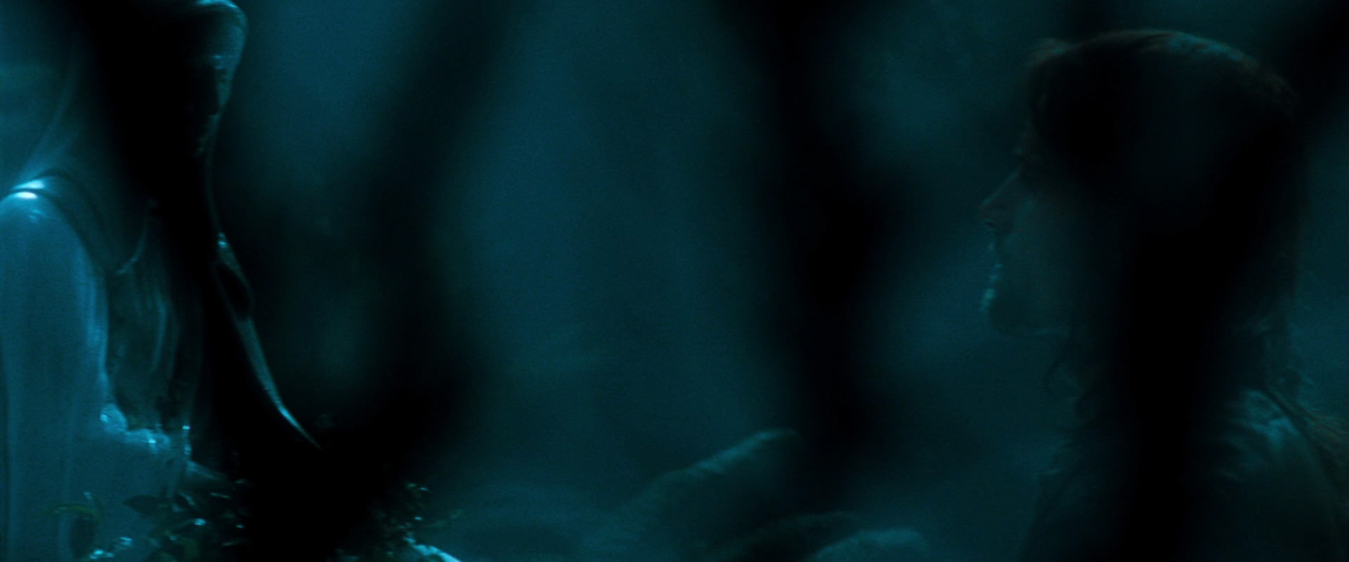 The Lord of the Rings: The Fellowship of the Ring (2001) movie still 12478