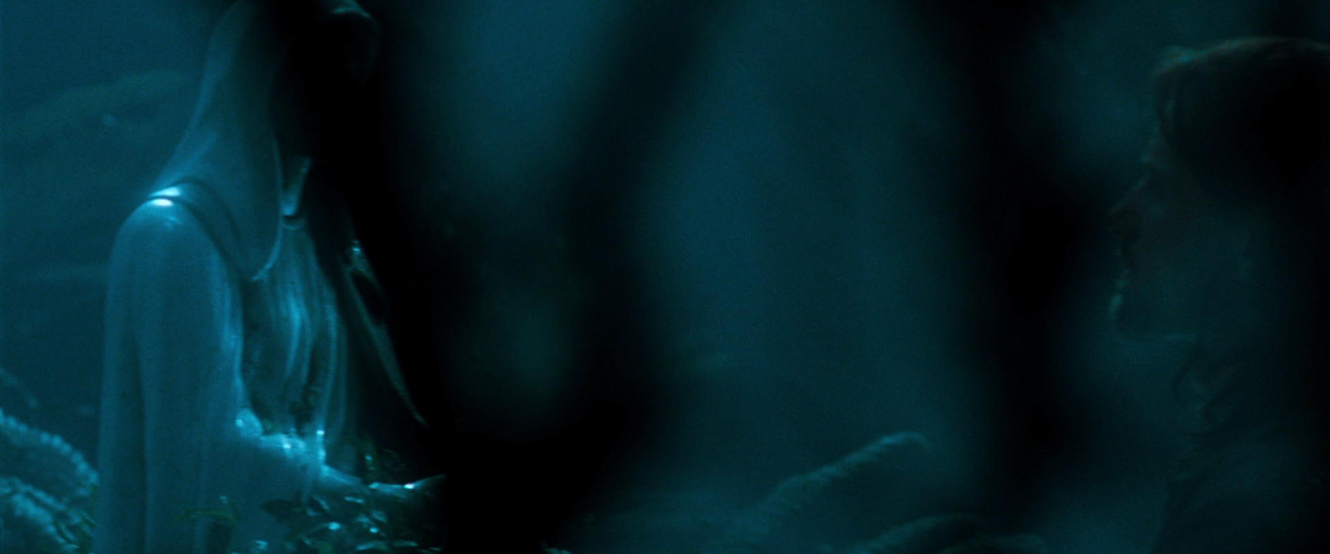 The Lord of the Rings: The Fellowship of the Ring (2001) HD screenshot 12479