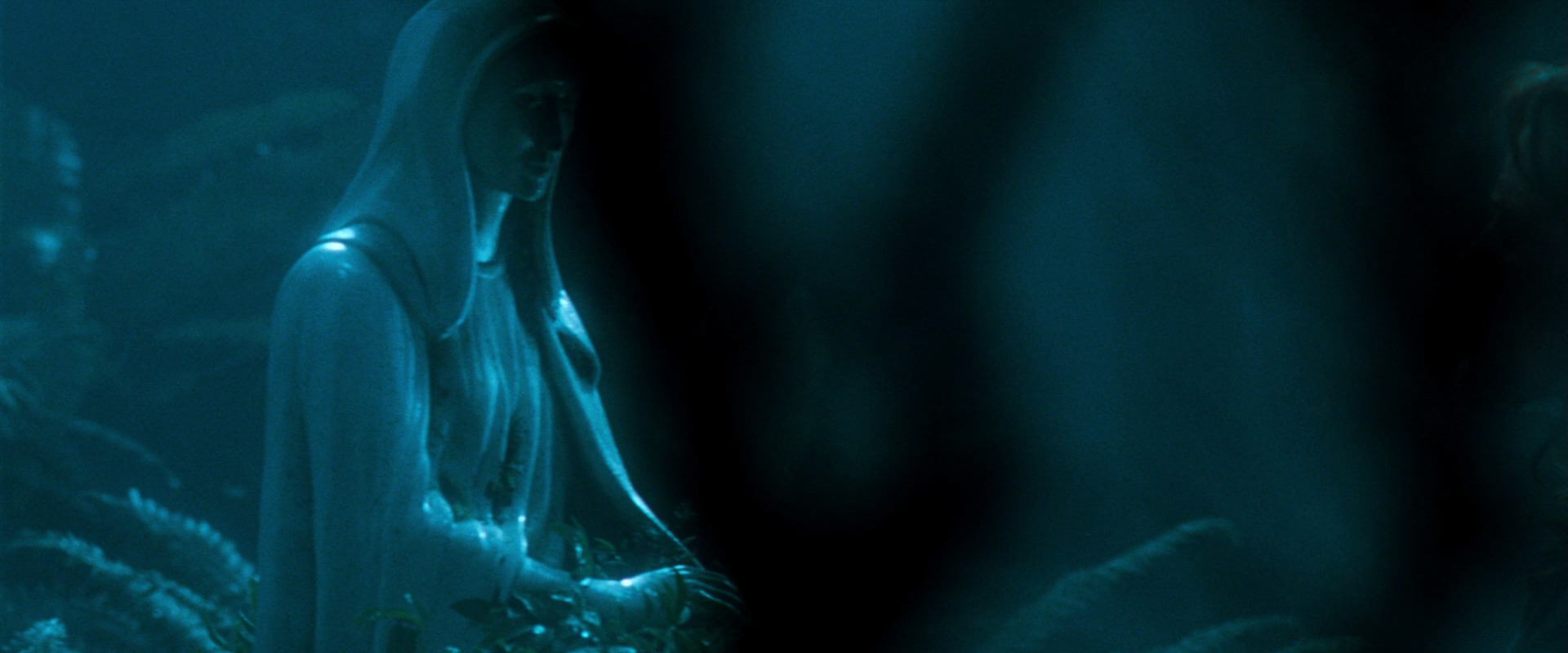 The Lord of the Rings: The Fellowship of the Ring (2001) screencap 12480