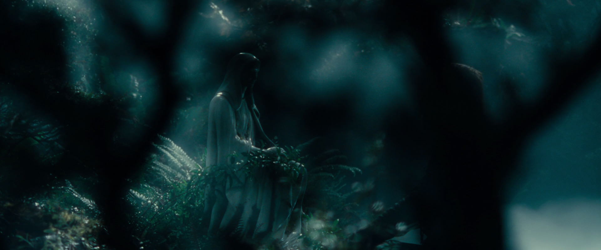 The Lord of the Rings: The Fellowship of the Ring (2001) movie still 12520