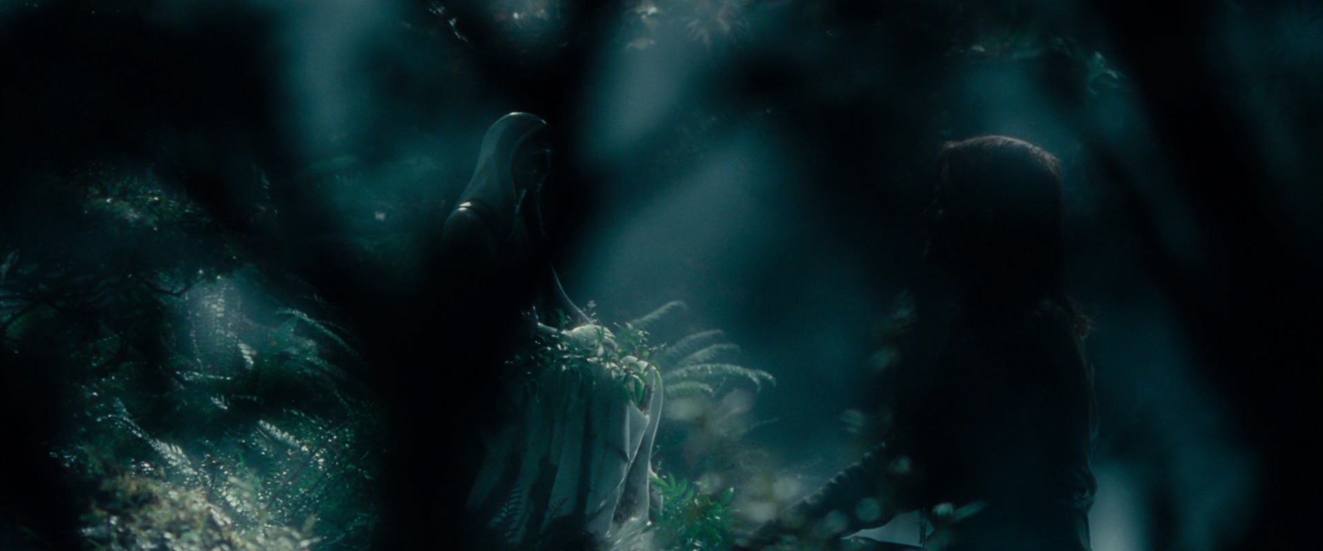 The Lord of the Rings: The Fellowship of the Ring (2001) screencap 12525