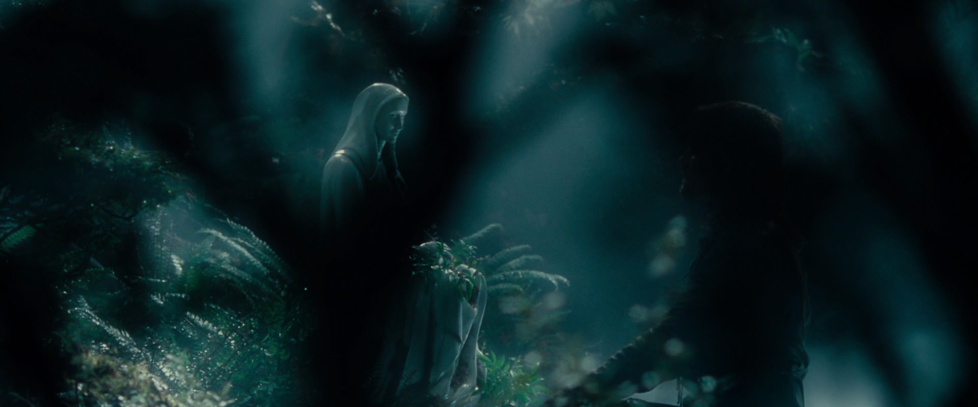 The Lord of the Rings: The Fellowship of the Ring (2001) movie still 12526