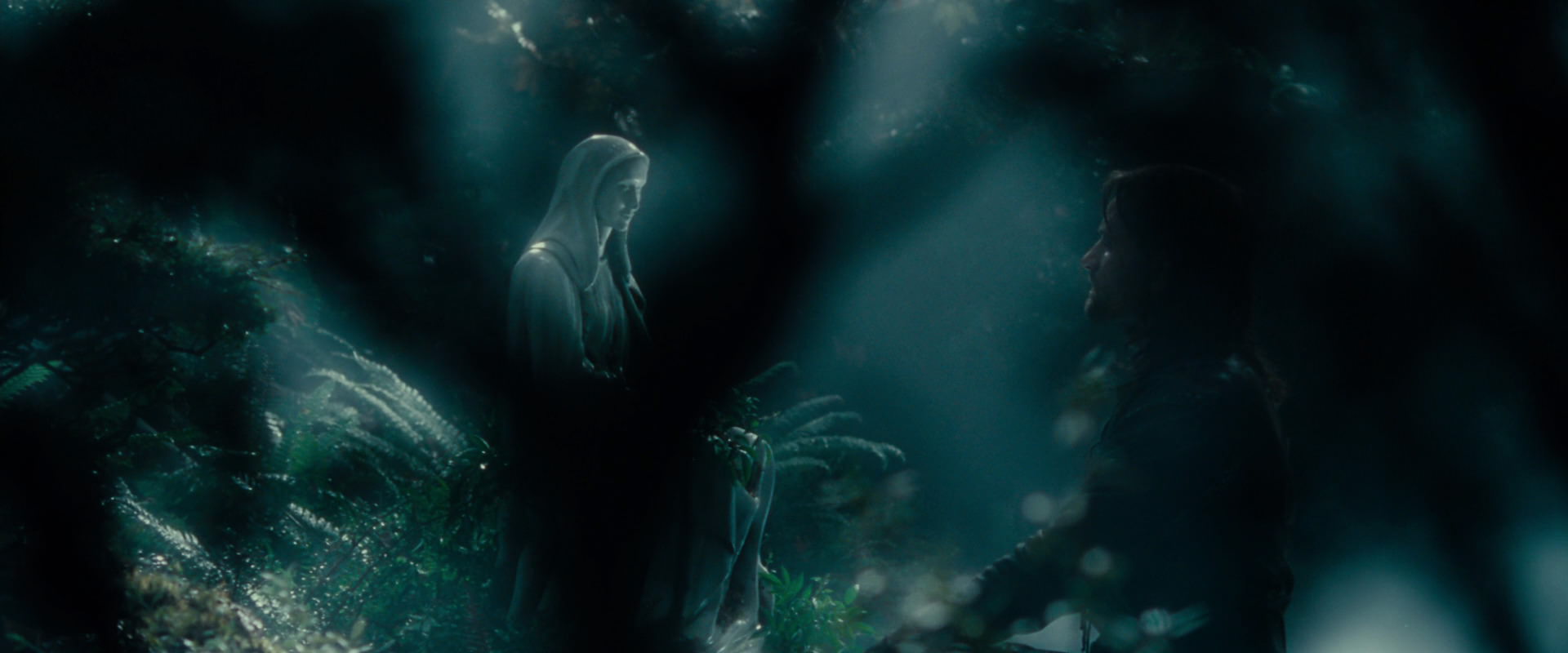 The Lord of the Rings: The Fellowship of the Ring (2001) HD screenshot 12527