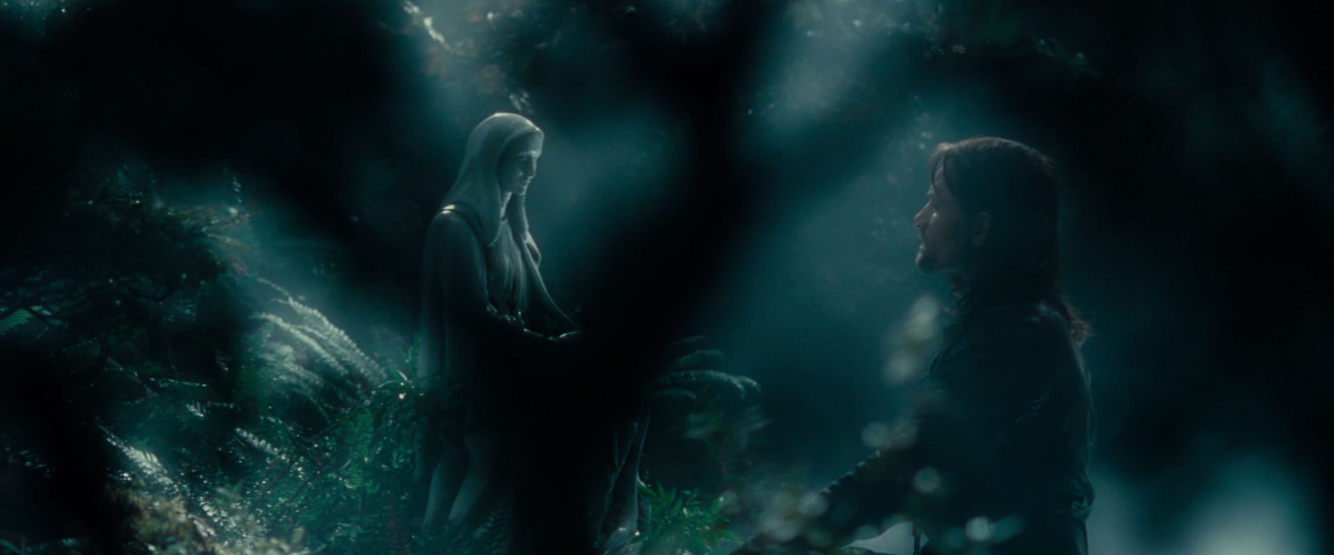 The Lord of the Rings: The Fellowship of the Ring (2001) screencap 12528