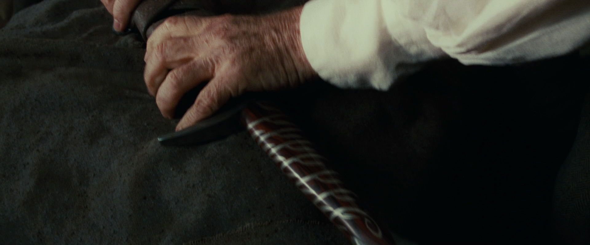 The Lord of the Rings: The Fellowship of the Ring (2001) screencap 12570