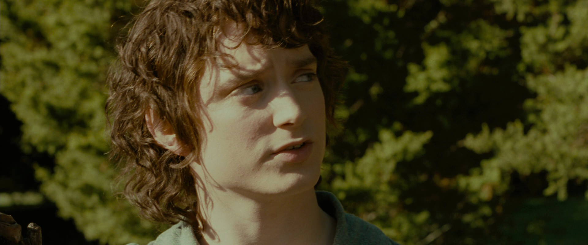 The Lord of the Rings: The Fellowship of the Ring (2001) HD screenshot 1268
