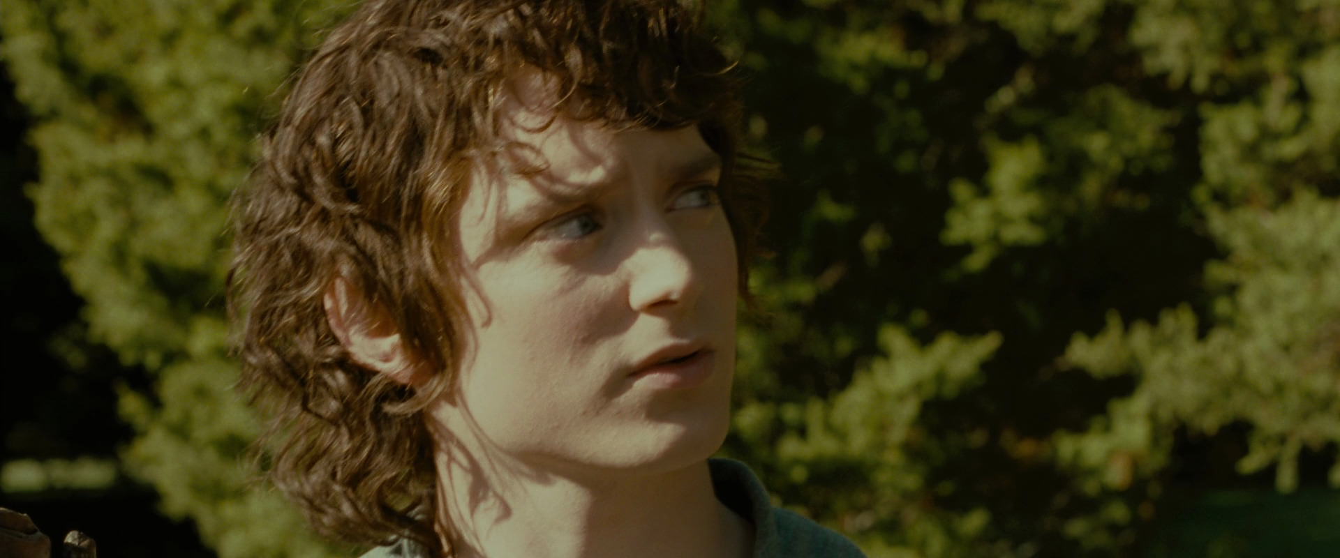 The Lord of the Rings: The Fellowship of the Ring (2001) screencap 1269