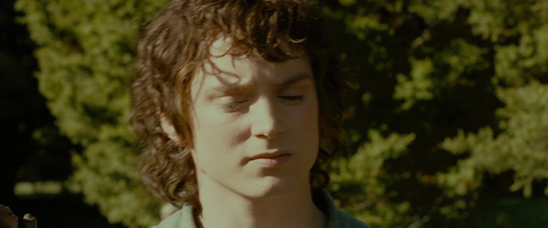 The Lord of the Rings: The Fellowship of the Ring (2001) HD screenshot 1271
