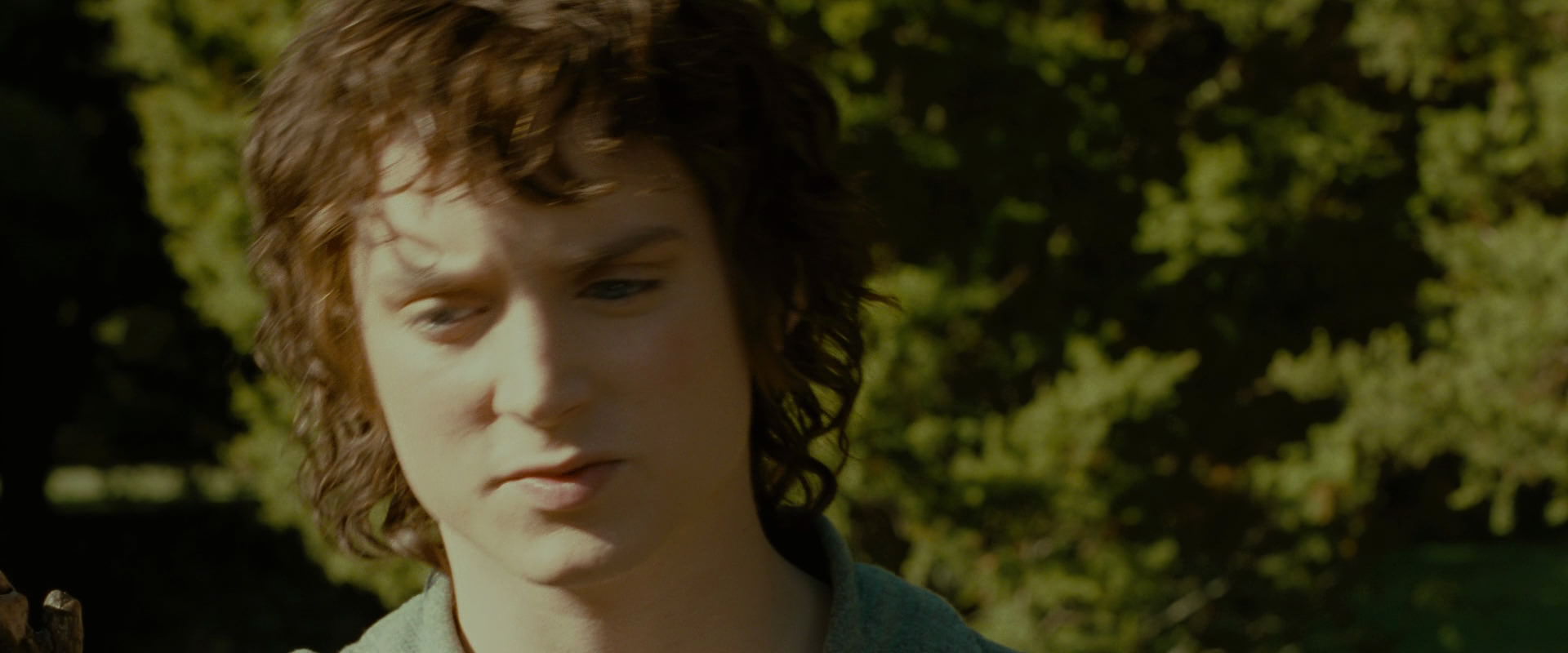The Lord of the Rings: The Fellowship of the Ring (2001) screencap 1272