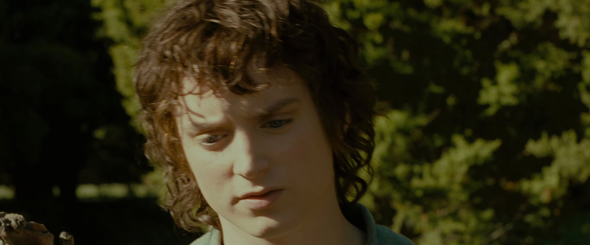 The Lord of the Rings: The Fellowship of the Ring (2001) movie still 1273