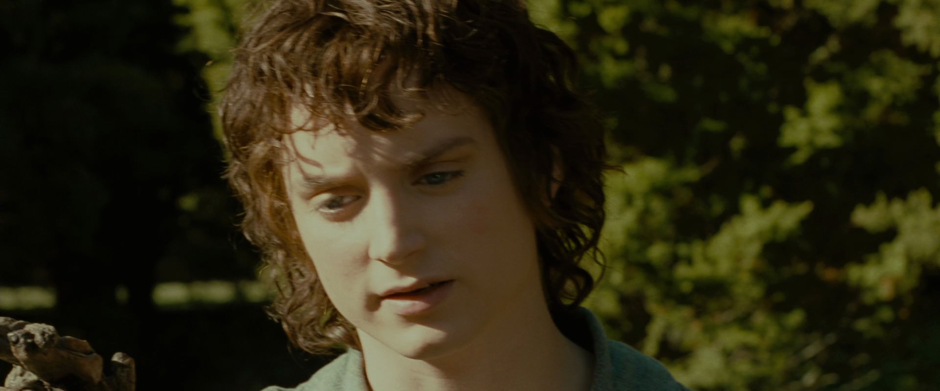 The Lord of the Rings: The Fellowship of the Ring (2001) HD screenshot 1274