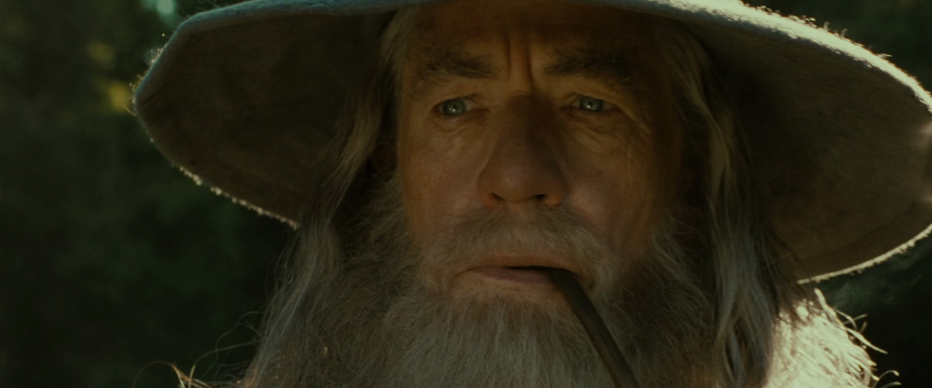The Lord of the Rings: The Fellowship of the Ring (2001) screencap 1275