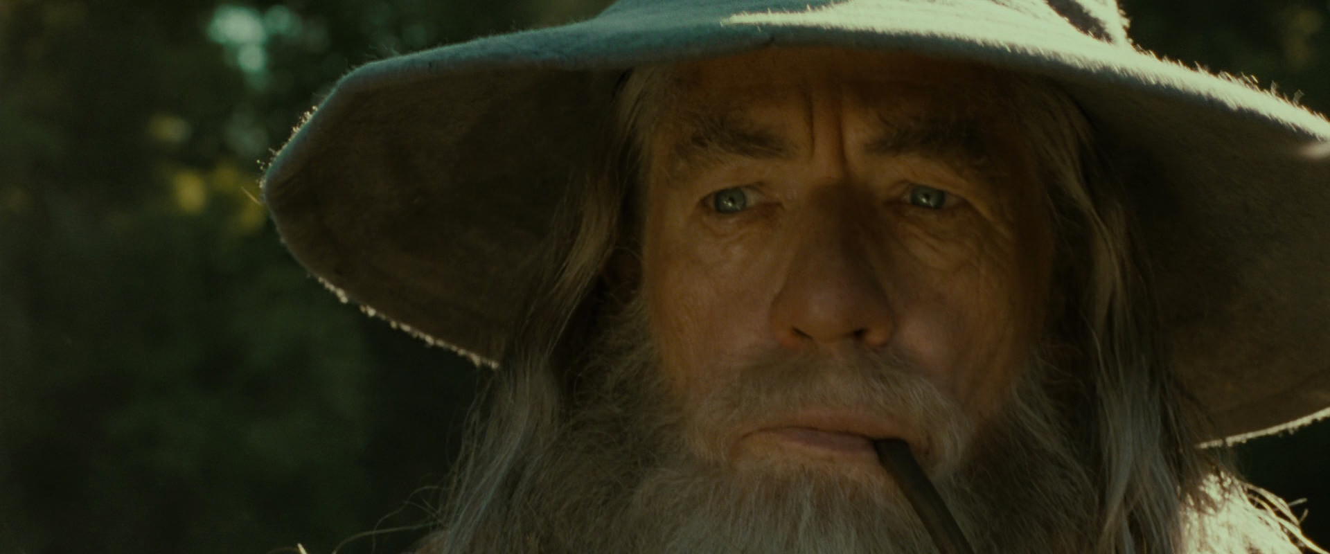 The Lord of the Rings: The Fellowship of the Ring (2001) movie still 1276