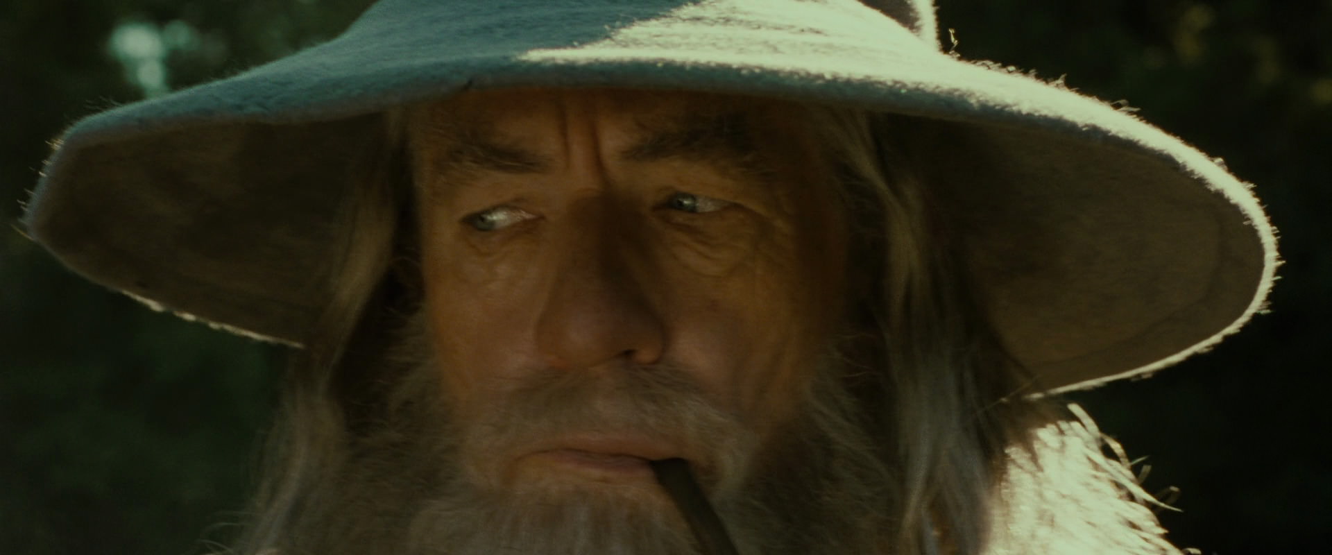 The Lord of the Rings: The Fellowship of the Ring (2001) HD screenshot 1277