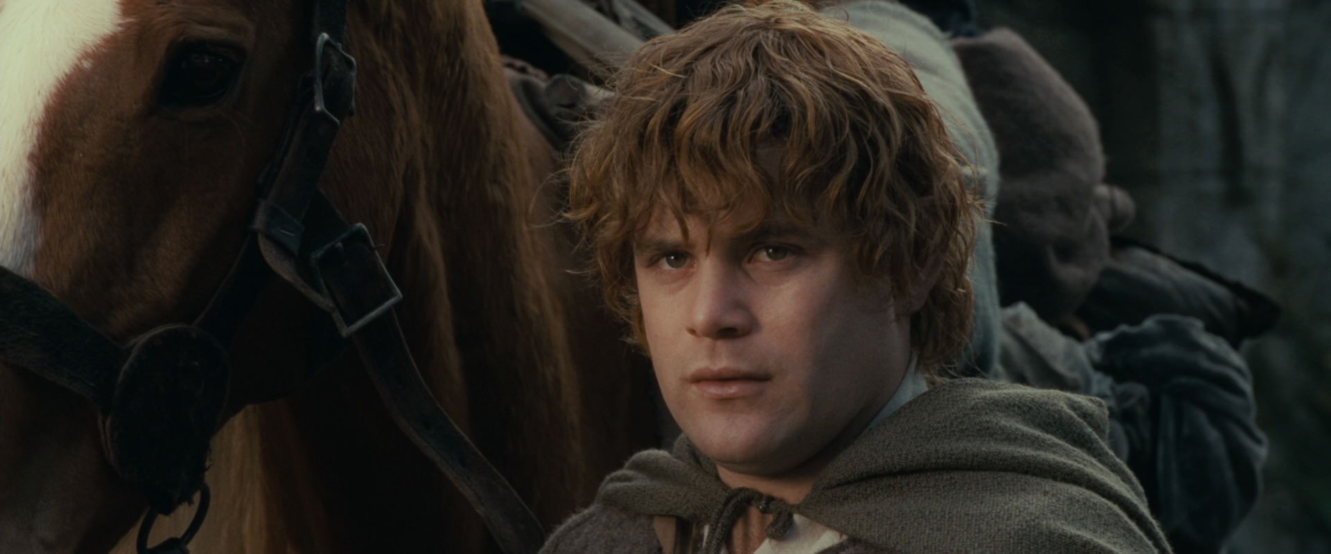 The Lord of the Rings: The Fellowship of the Ring (2001) HD screenshot 12788