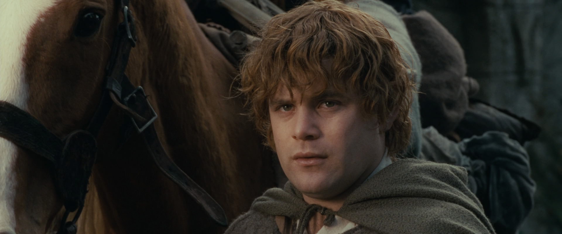 The Lord of the Rings: The Fellowship of the Ring (2001) screencap 12789