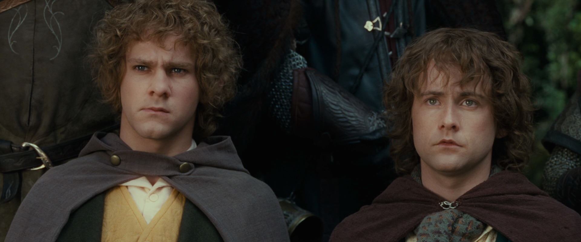 The Lord of the Rings: The Fellowship of the Ring (2001) movie still 12790