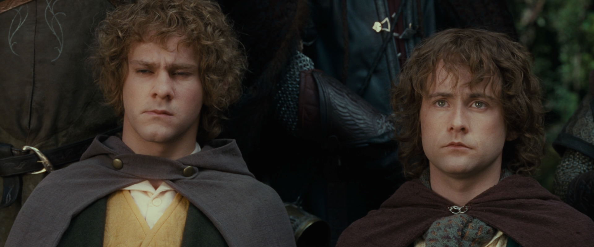 The Lord of the Rings: The Fellowship of the Ring (2001) HD screenshot 12791