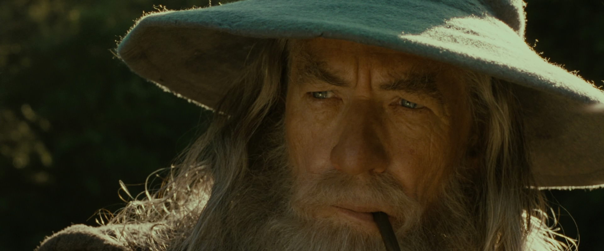 The Lord of the Rings: The Fellowship of the Ring (2001) movie still 1282