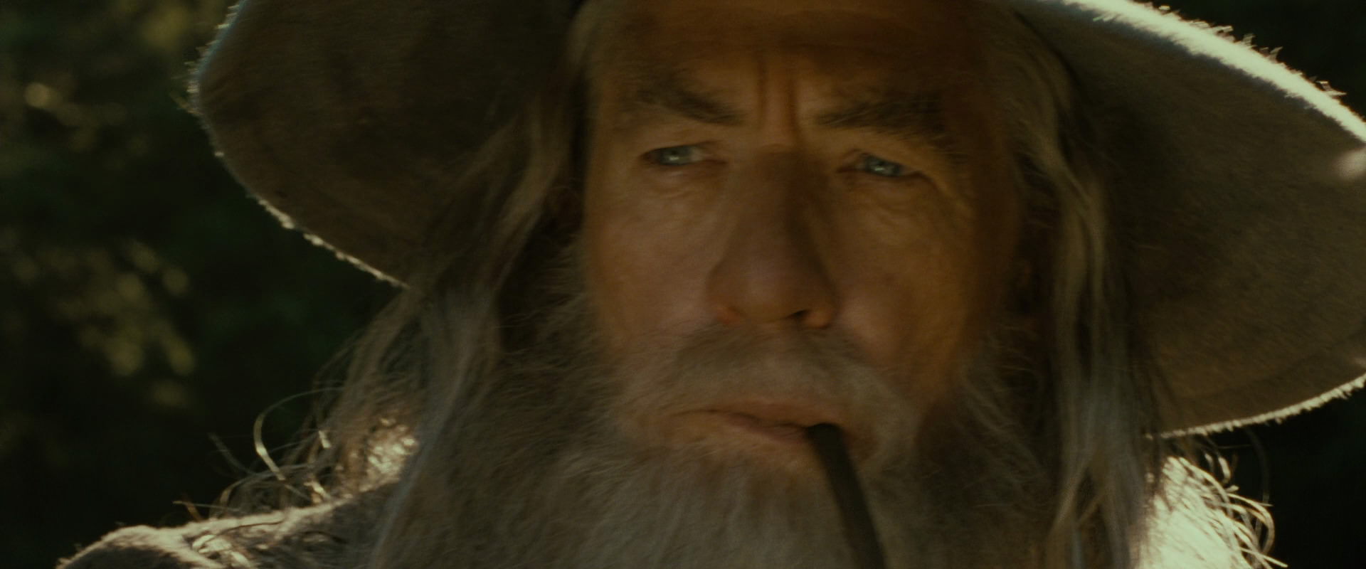 The Lord of the Rings: The Fellowship of the Ring (2001) screencap 1284