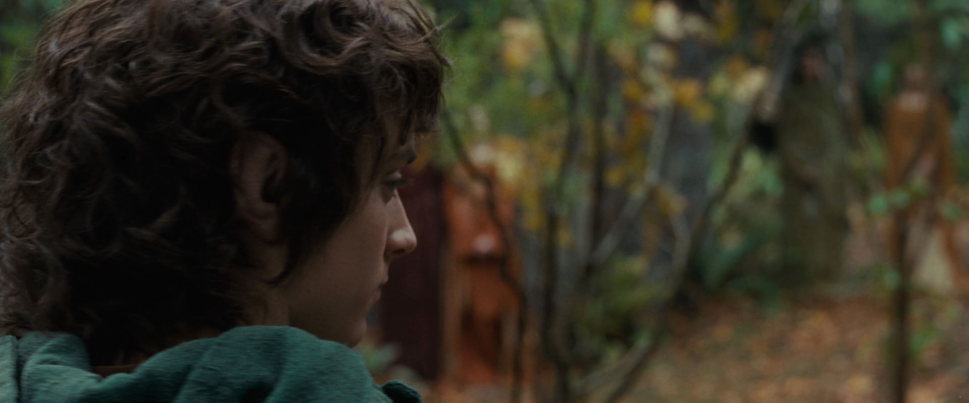 The Lord of the Rings: The Fellowship of the Ring (2001) movie still 12844