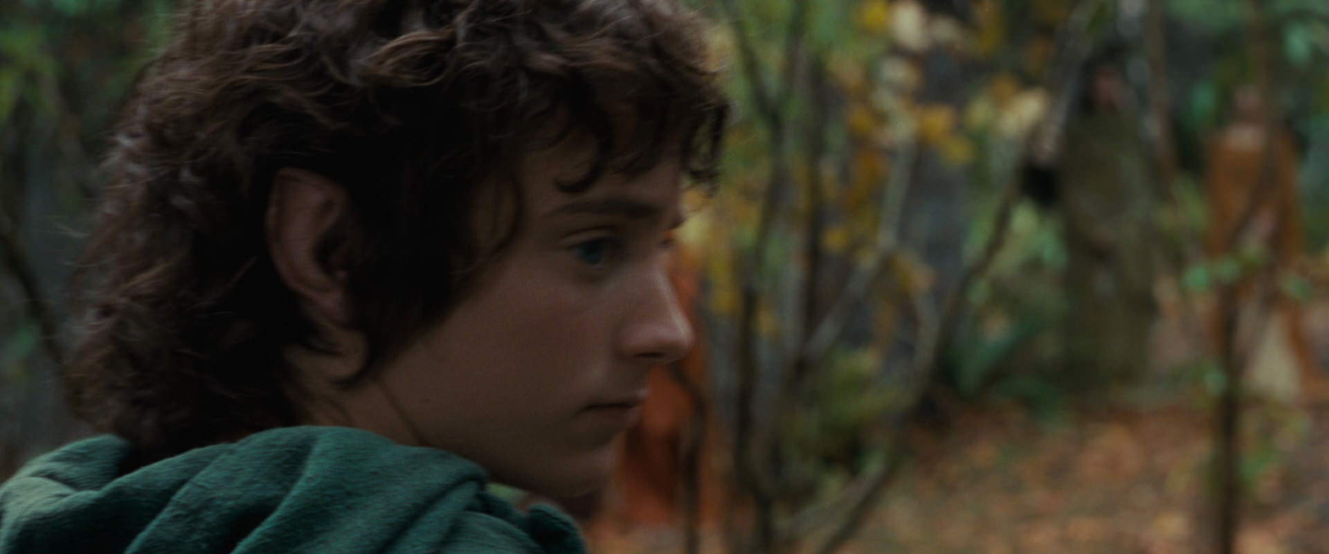 The Lord of the Rings: The Fellowship of the Ring (2001) HD screenshot 12845