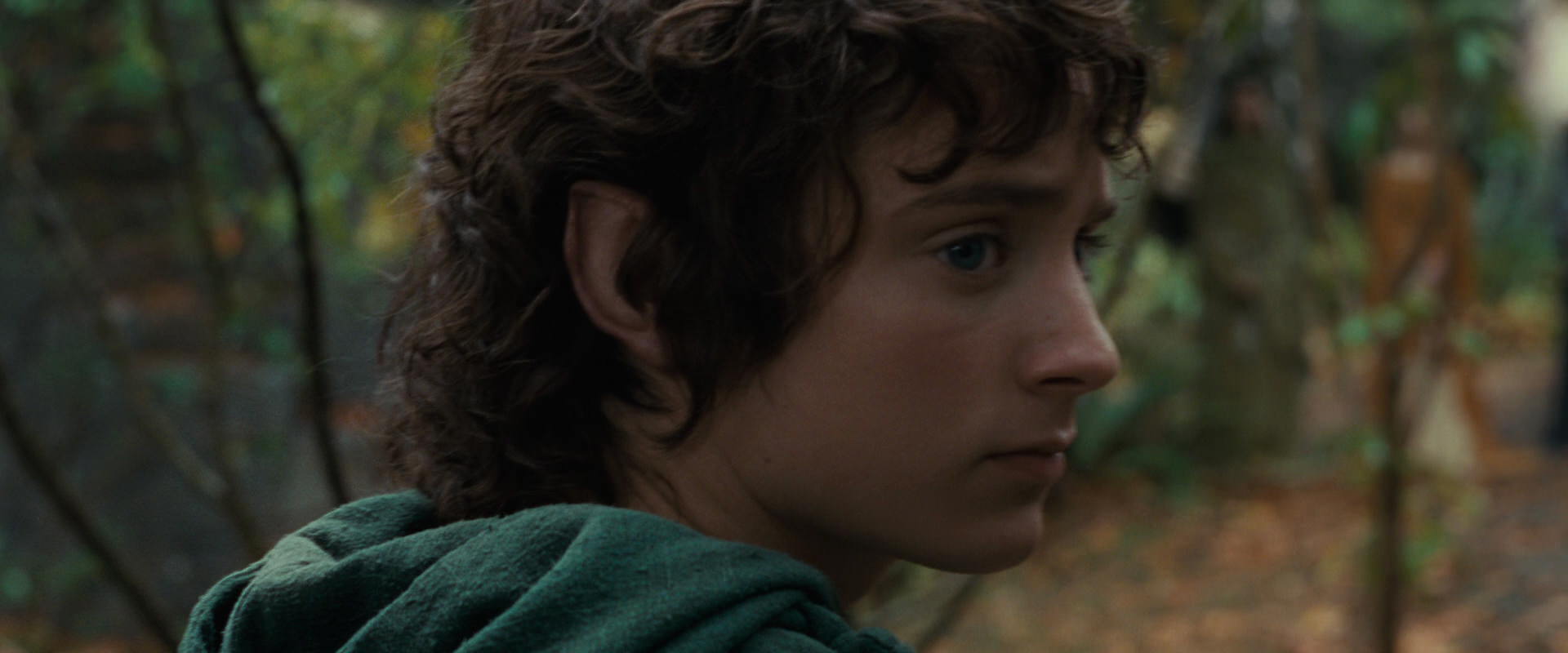 The Lord of the Rings: The Fellowship of the Ring (2001) screencap 12846