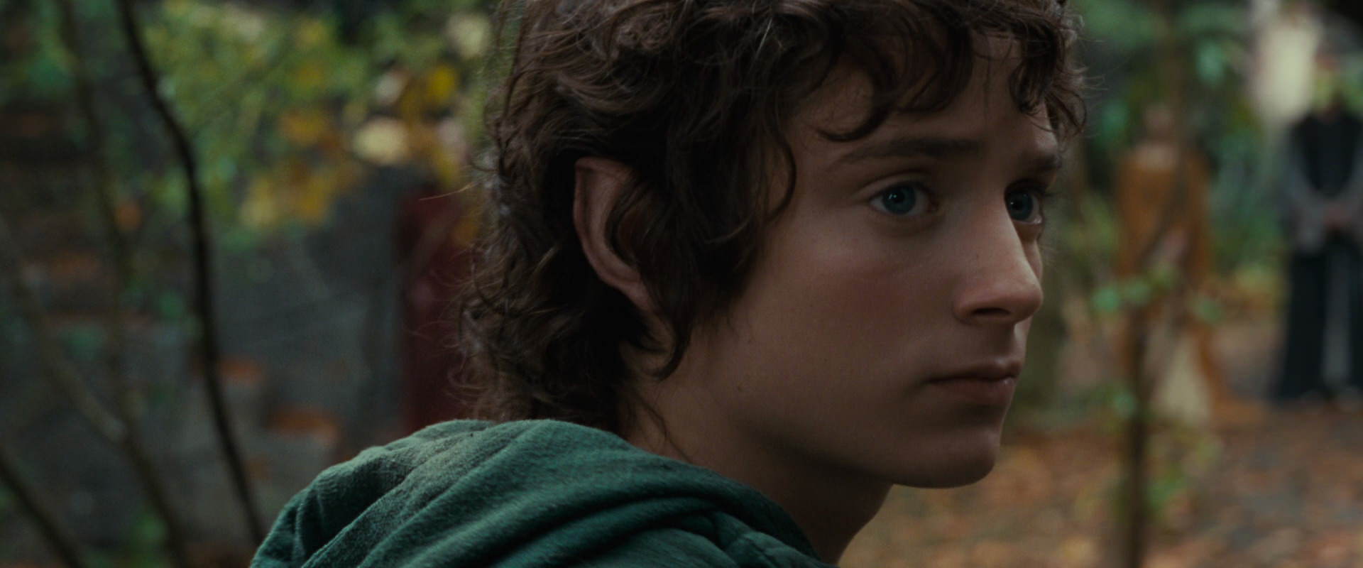 The Lord of the Rings: The Fellowship of the Ring (2001) movie still 12847
