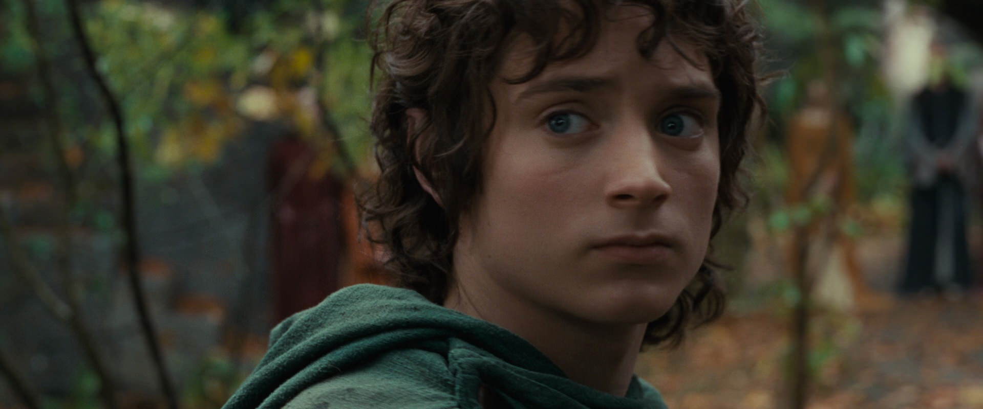 The Lord of the Rings: The Fellowship of the Ring (2001) HD screenshot 12848