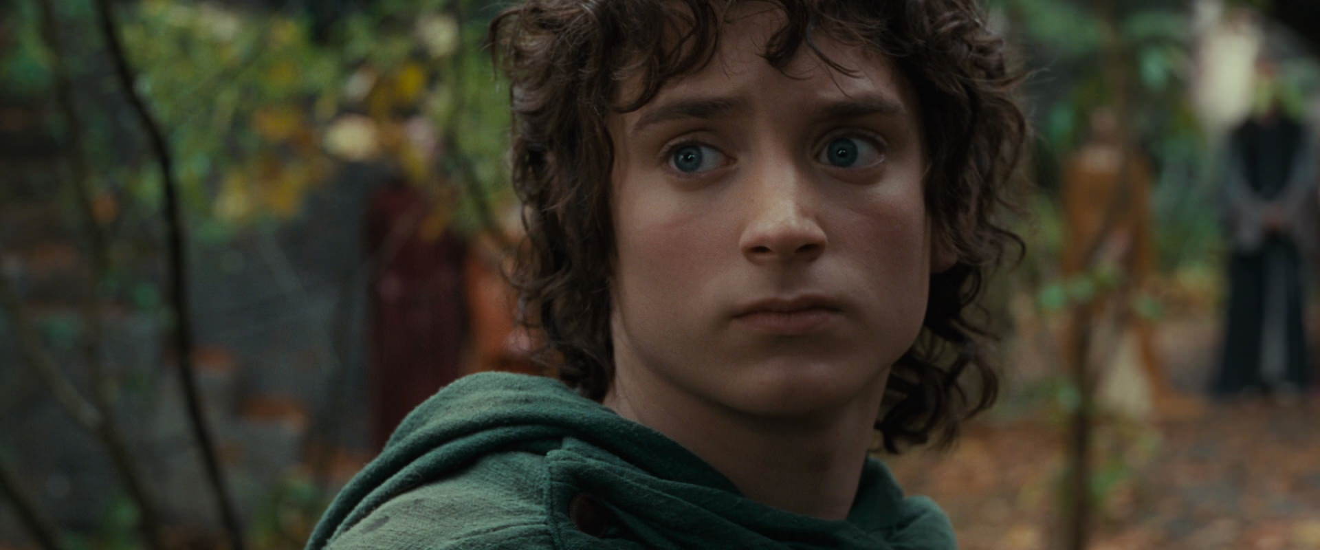 The Lord of the Rings: The Fellowship of the Ring (2001) screencap 12849